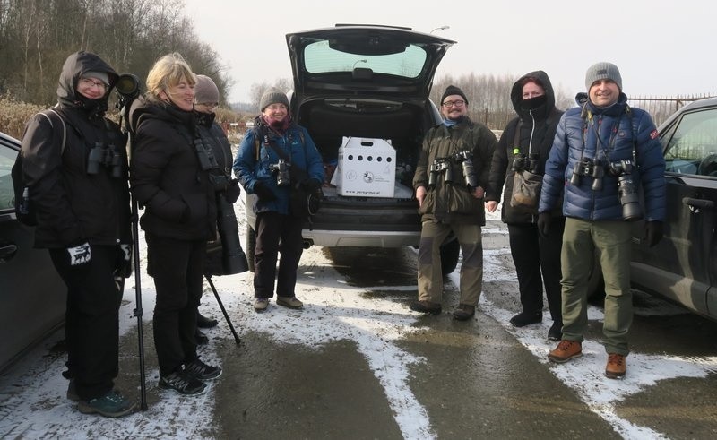 Sokół wędrowny został wypuszczony w okolicy Skawiny