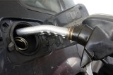 Alarmujące dane. Plaga kradzieży paliwa i strat z tym związanych. „Złodzieje paraliżują pracę przedsiębiorstw i kierowców”
