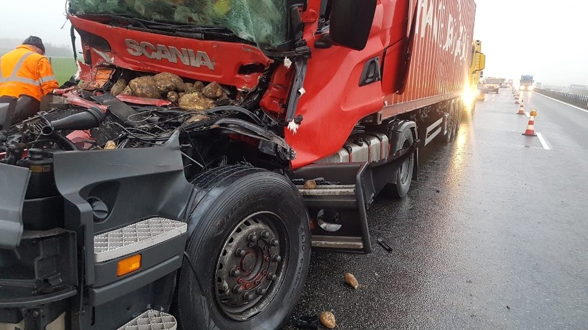 Wypadek na A1! W Lisewie zderzyły się dwa ciągniki, rozsypały się buraki. Dwie osoby poszkodowane [zdjęcia]