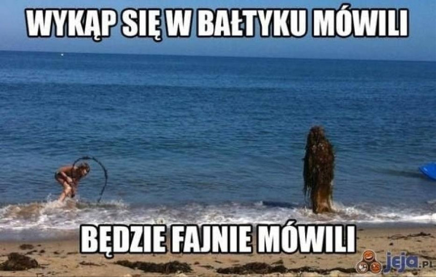wakacje-memy-najlepsze-memy-i-zabawne-obrazki-z-wakacjami-i-urlopem-w