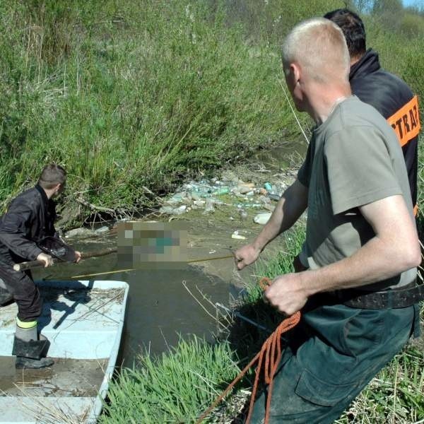 Strażacy wyciągają leżące na powierzchni wody zwłoki.