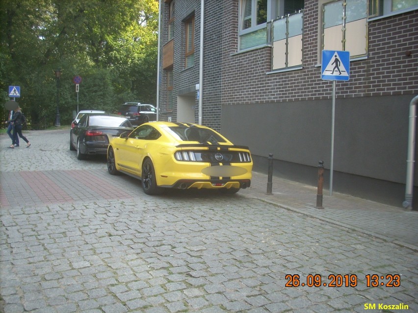 Uważaj, gdzie parkujesz. Straż Miejska odholuje twoje auto [ZDJĘCIA]