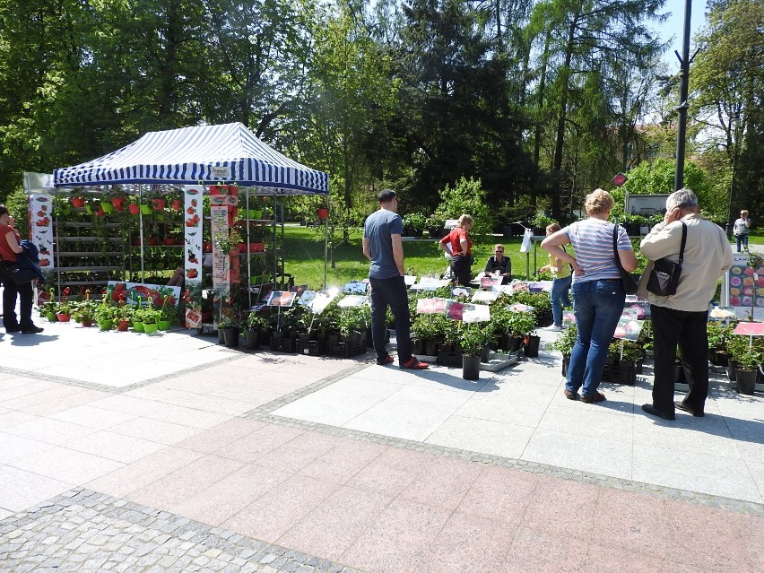 Jarmark Ogrodniczy „Kresowy Ogród” w Białymstoku