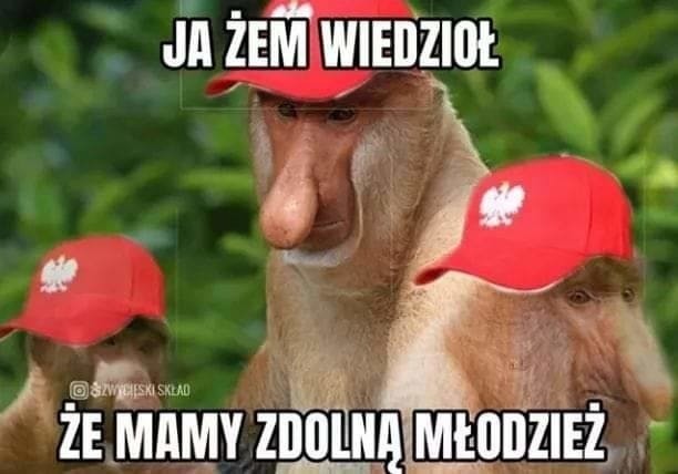 Memy po meczu Polska - Włochy w ME U-21