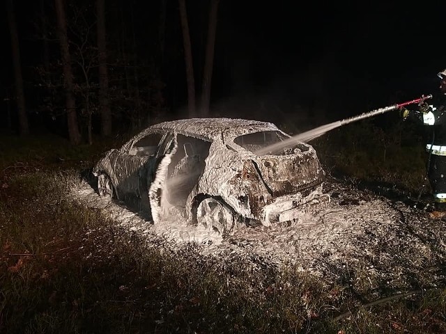 Na pierwszy rzut oka trudno rozpoznać markę samochodu, który splonął w sobotę (4 stycznia) późnym wieczorem w lesie w Dłutowie w powiecie pabianickim. Policjanci ustalili, że spalony wrak to toyota, ktorej właściciel zglosił zaginięcie przed kilkoma dniami. Samochód został skradziony w Kaliszu i niewykluczone, że zanim spłonął, posłużył do dokonania przestępstwa... Czytaj więcej na następnej stronie