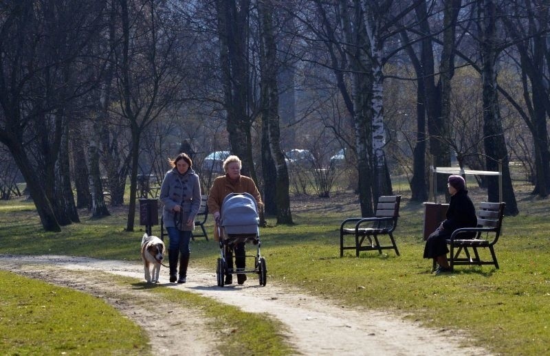 Pogoda będzie sprzyjać obserwacjom.