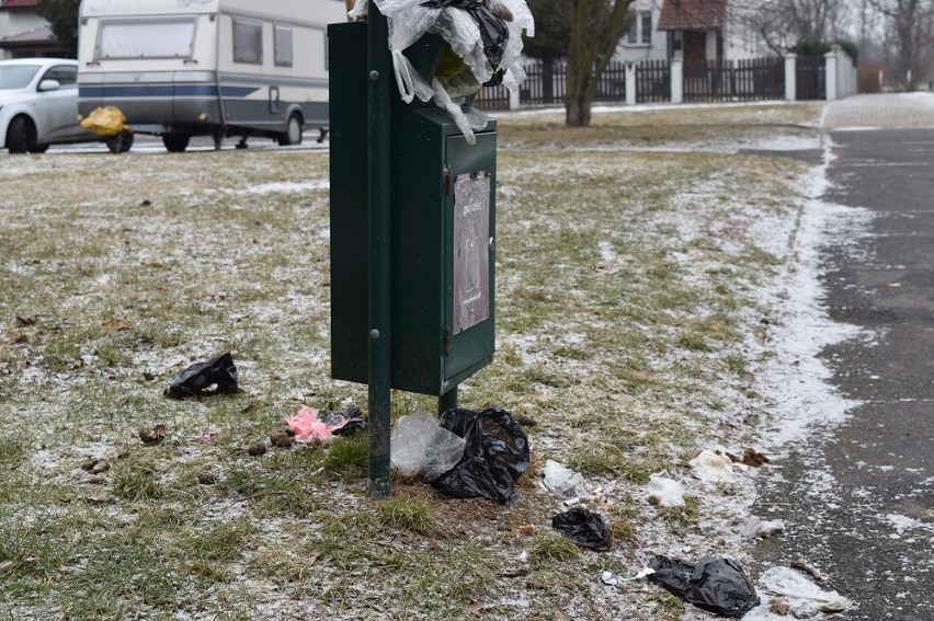 Zapełnione pojemniki na psie kupy. Dlaczego? 