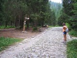 Tatrzański Park Narodowy zamyka kolejny szlak. Będzie prowadzony remont