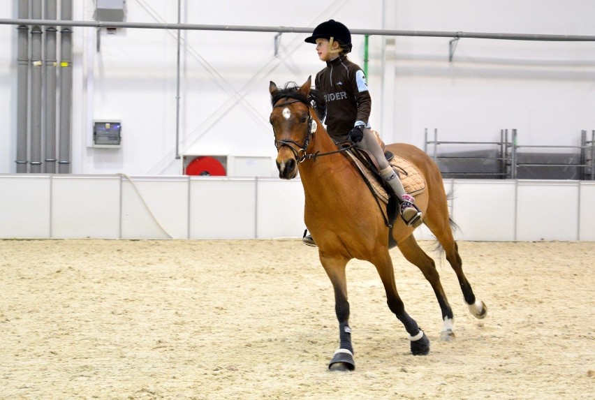 Cavaliada 2015 w Lublinie rozpoczęta. Na kibiców czeka moc atrakcji (WIDEO, ZDJĘCIA)