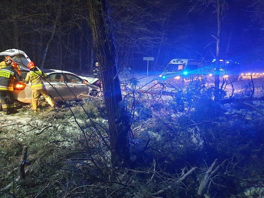 W Żołędowie pod Bydgoszczą auto osobowe uderzyło w drzewo,...