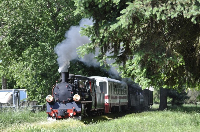 Koszalińska Kolej Wąskotorowa zaprasza na czerwcowe przejazdy do Rosnowa
