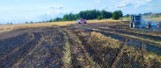 Pięć hektarów zboża płonęło pod Szamotułami w gminie Duszniki