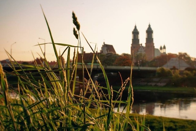 Amerykanin fotografuje Poznań. Tym razem wiosnę w mieście