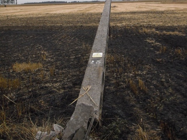 Pożar powstał w wyniku uszkodzenia słupa linii średniego napięcia, podczas prac polowych. 