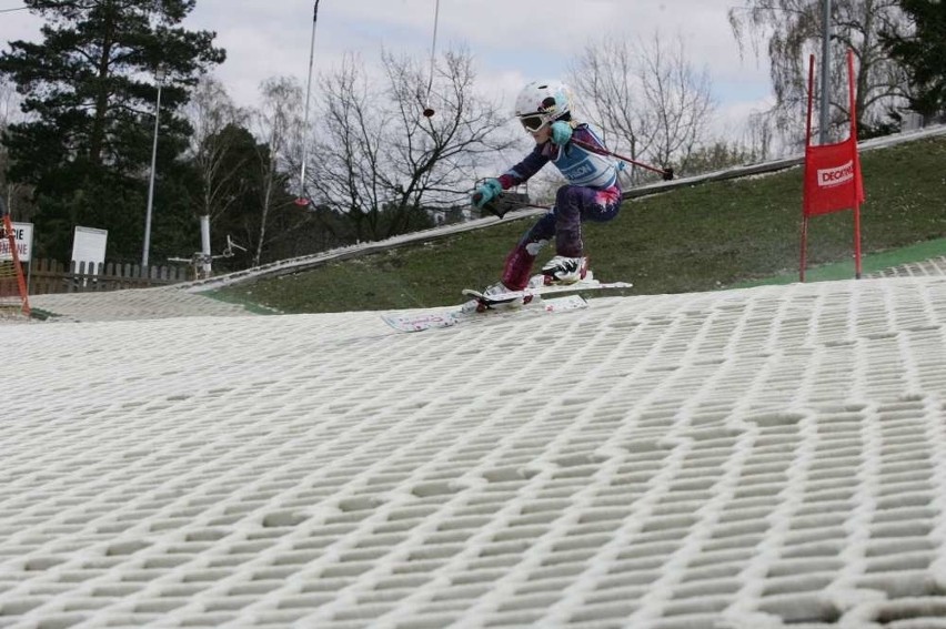 Puchar Poznania: Finał sezonu narciarskiego na Malta Ski