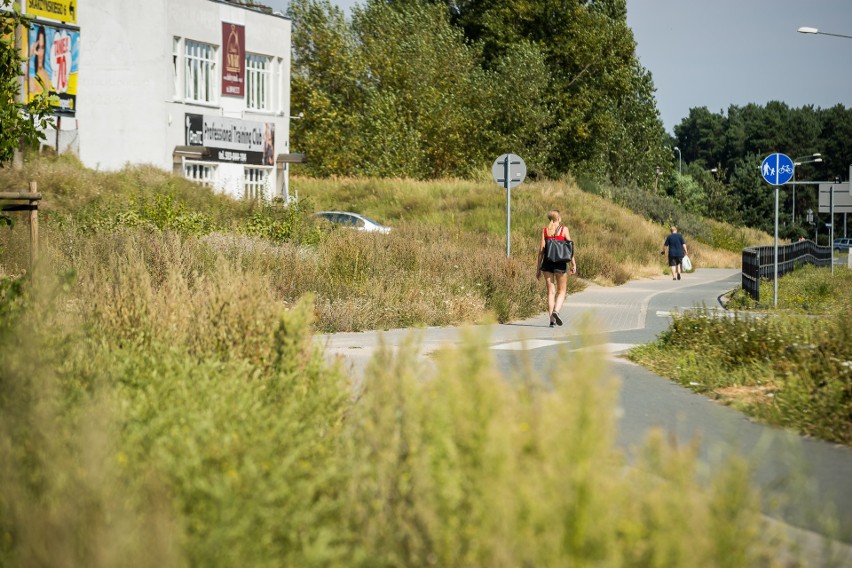 Bydgoszcz zarasta chwastami, ale ratusz nie ma zamiaru nic z tym zrobić