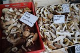 Ceny suszonych grzybów 2023. Ile za kilogram podgrzybków albo prawdziwków u zbieraczy albo za opakowanie w sklepie?