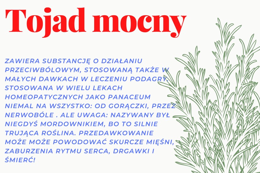 Według podań ludowych, to z nich od wieków korzystały...