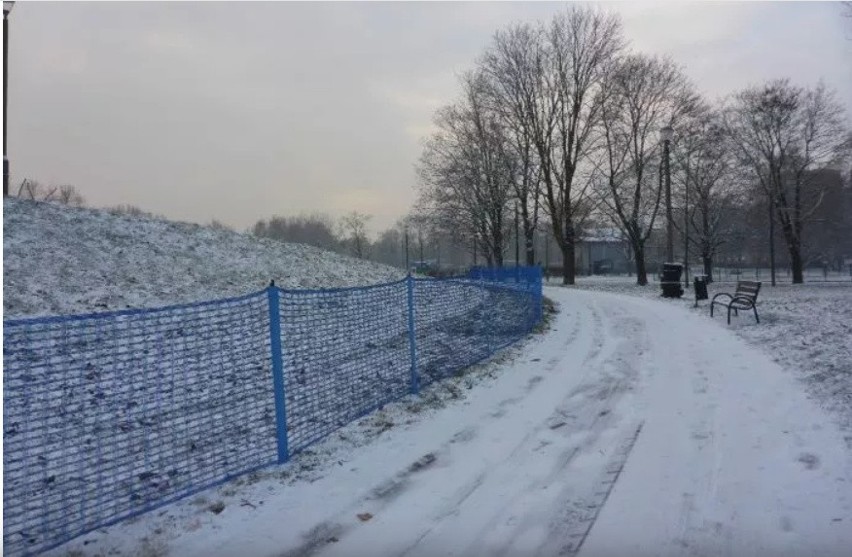 Kraków. Chcą ochronić zieleń i mieszkańców w czasie zimy. Trwają przygotowania