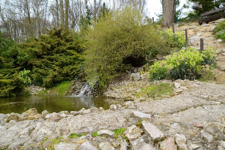 Ogród Botaniczny w Lublinie już otwarty dla mieszkańców