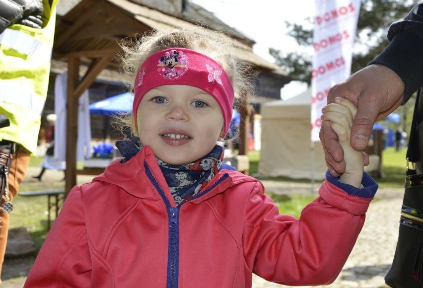 Świętokrzyski Mistrz Kuchni 2017. Gotowanie na wesoło, czyli zmagania amatorów