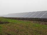 W gminie Pacanów powstają największe farmy paneli fotowoltaicznych w województwie! Znamy szczegóły inwestycji