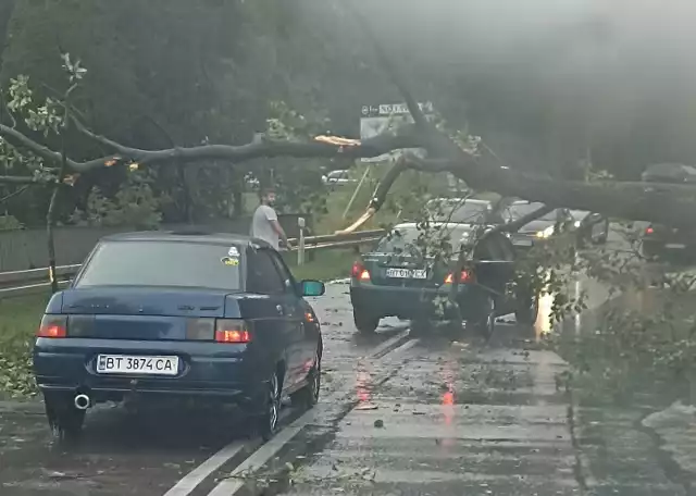 Podczas burzy, jaka przeszła w niedzielę w okolicach Jedlni – Letnisko, drzewo spadło na drogę w okolicy Siczek.