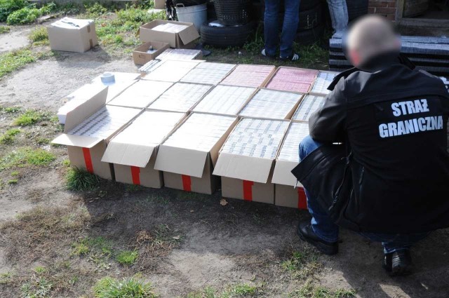 Prawie 10 tys. paczek papierosów bez akcyzy funkcjonariusze Straży Granicznej ujawnili na posesji w powiecie mieleckim.