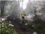 Poznań: Strażnicy miejscy szukali złomiarzy. Zauważyli pożar. Ktoś podpalił śmieci w trzech miejscach [ZDJĘCIA]