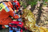 Kłobuck: W kompleksie leśnym odnaleziono poszukiwaną 70-latkę. Kobieta zaginęła 3 czerwca