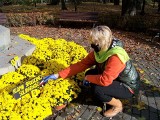 Skawina. Wokół pomnika Kazimierza Wielkiego powstał klomb solidarności społecznej. Ludzie wsparli producenta kwiatów [ZDJĘCIA]