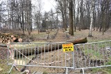 Na osiedlu Chemików w Oświęcimiu rozpoczęła się budowa parku Pokoju, który zajmie obszar blisko 7 hektarów [ZDJĘCIA]