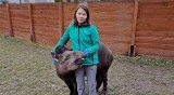 Spa dla egzotycznych zwierząt w Zoo Borysew koło Poddębic. Fizjoterapia pomaga im w regeneracji po kontuzji czy zrelaksowaniu ZDJĘCIA, VIDEO