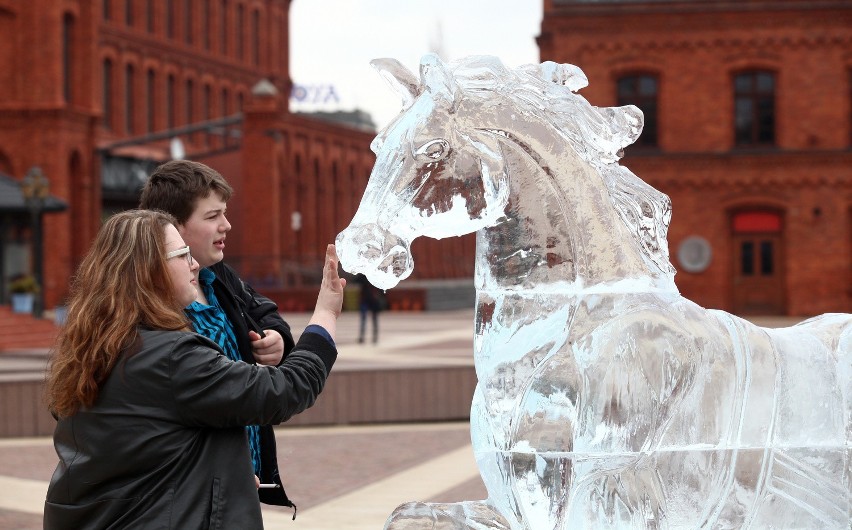 Walentynkowa rzeźba lodowa w Manufakturze [ZDJĘCIA+FILM]