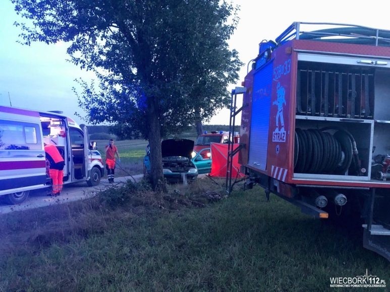 Śmiertelny wypadek pod Sępólnem Krajeńskim. Na trasie między...