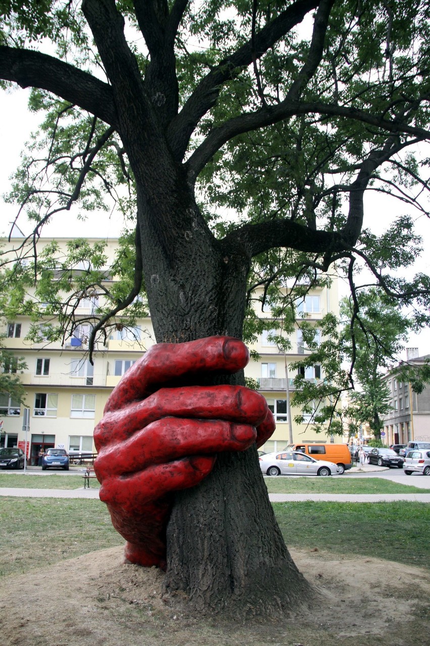 Plac Kaczyńskiego: Skąd się wzięła Czarcia Łapa na drzewie przed Centrum Kultury? (ZDJĘCIA)