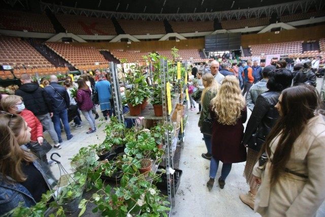 Tak wyglądał Festiwal Roślin w Spodku organizowany w marcu tego roku.