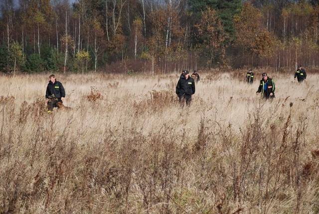 Policjanci i strażacy, w sumie ponad 60 osób, przeszukali w środę lasy i łąki w okolicach Białobrzegów. 