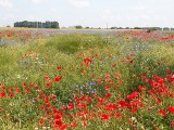 Rolników ubywa. Znowu złożyli mniej wniosków o dopłaty