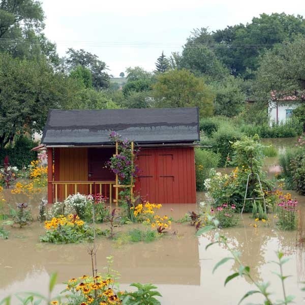 PowódL w Krośnie - zdjecia internautyZdjecia z powodzi w Krośnie wykonane w piatek miedzy godz. 12 a 15.