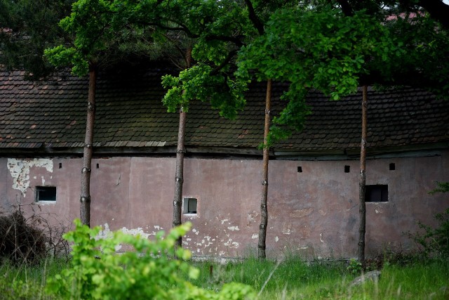 Wróblin Głogowski to dziś tylko jeden dom i kościół. Ta apokaliptyczna sceneria przy granicy woj. lubuskiego z jednej strony przeraża, a z drugiej zachwyca. Jest tu dość urokliwie, ale pusto i tajemniczo zarazem. ZOBACZ WIĘCEJ ZDJĘĆ >>>