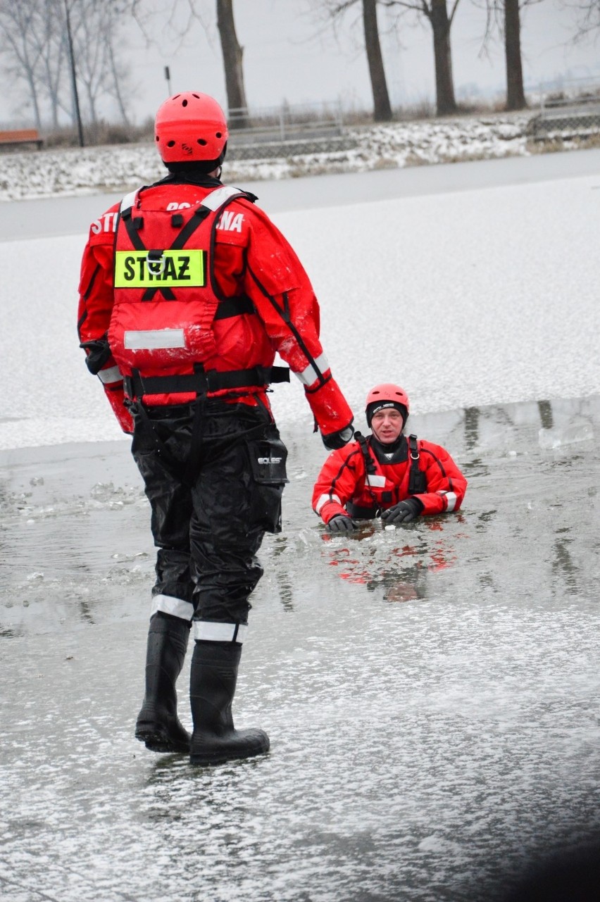 Ćwiczenia ratownicze w Kwidzynie 24.01.2019. Strażacy ćwiczyli na Balatonie ratowanie osoby, pod którą załamał się lód [zdjęcia] 