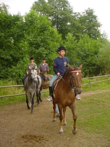 Na terenie powiatu skarżyskiego miłośnicy konnej jazdy mogą korzystać ze szlaku z prawdziwego zdarzenia.