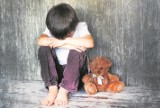 Rzecznik Praw Dziecka apeluje do ministra Ziobry w sprawie pedofilów