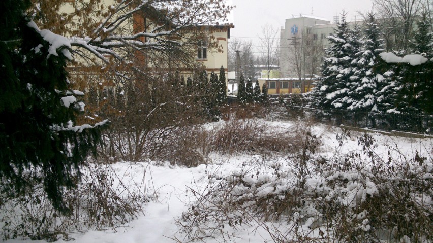 Nowy Sącz. Puchowy śniegu tren... okrywa szpetotę