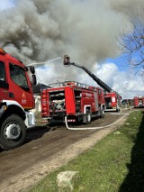 Pożar w Łochowie pod Bydgoszczą. Do walki z ogniem strażacy wysłali znaczne siły