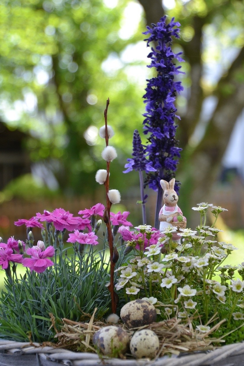 W kwiaciarniach pojawiły się już stroiki – idealne na stół...