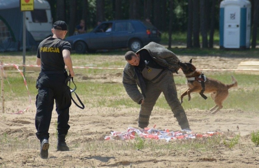 Policjanci zaprezentowali też tresurę psów służbowych.