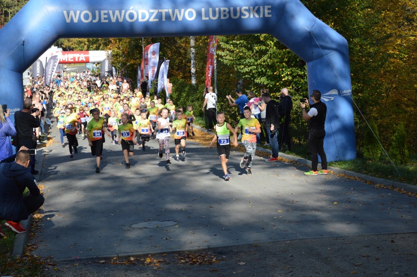 W niedzielę Żary były biegową stolicą województwa. W...