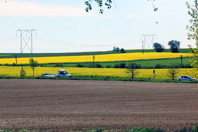 Najbardziej liczną pod względem mieszkańców wsią w województwie łódzkim jest Ksawerów. Miejscowość należy do powiatu pabianickiego. Które wsie z naszego regionu są najmniejsze i gdzie się znajdują? Nie uwierzysz, jak mało ludzi tam mieszka.Sprawdź na kolejnych slajdach, jakie wsie w Łódzkiem są najmniejsze i gdzie się znajdują >>>